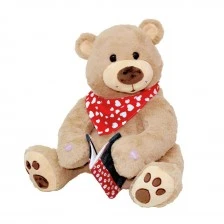 Teddy Max Storyteller with colouring book