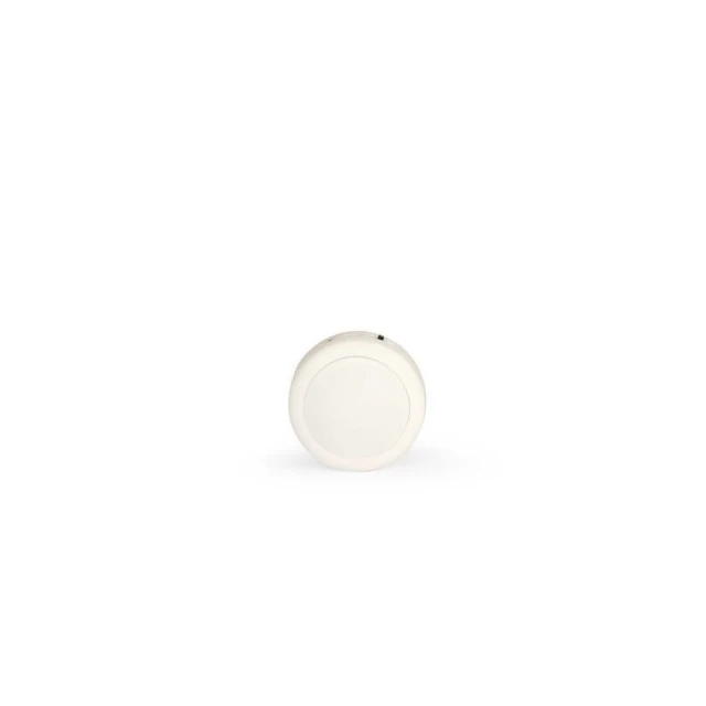 Soft toy glowing sea lion