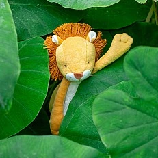 Soft toy lion cub in a box
