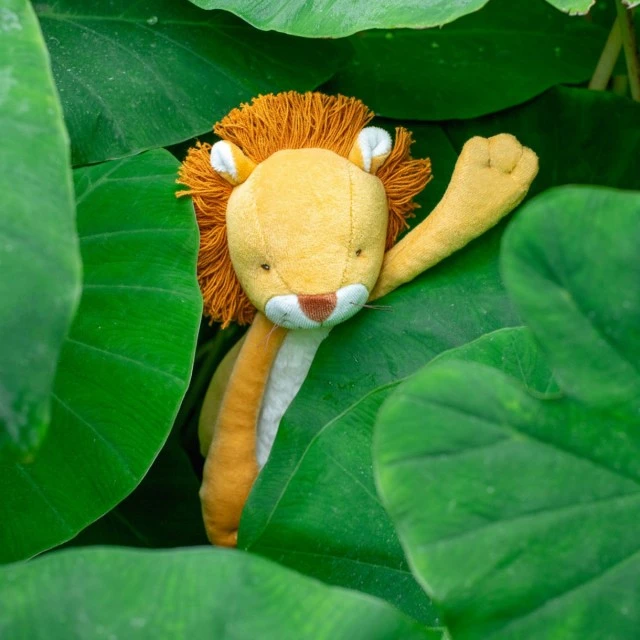 Soft toy lion cub in a box