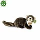 Plush Beech marten genus Marten 24 cm.