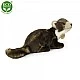 Plush Beech marten genus Marten 24 cm.