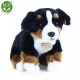 Bernese Mountain Dog plush sitting 25 cm.