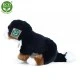 Bernese Mountain Dog plush sitting 25 cm.