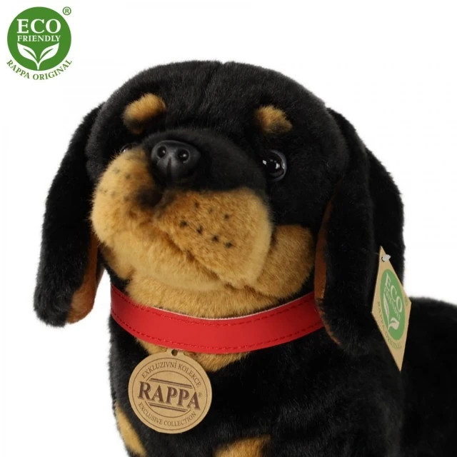 Plush Dachshund Dog 30 cm.