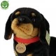 Plush Dachshund Dog 30 cm.