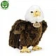 Plush Eagle standing 24 cm.