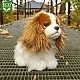 Plush Dog Kint Charles Spaniel sitting 25 cm.