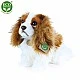 Plush Dog Kint Charles Spaniel sitting 25 cm.