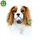 Plush Dog Kint Charles Spaniel sitting 25 cm.