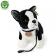 Boston terrier plush dog on a leash standing 23 cm.