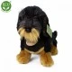 Plush Dog Dachshund sitting 30 cm.