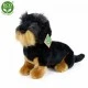Plush Dog Dachshund sitting 30 cm.