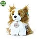 Plush Dog Papiyom sitting 18 cm.