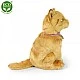 Plush Cat brown sitting 25 cm.
