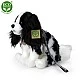 Plush Dog Cavalier King Charles Spaniel with a leash sitting 27 cm.