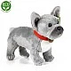 Plush Dog French Bulldog gray standing 30 cm.