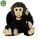 Plush Chimpanzee 27 cm.
