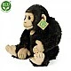 Plush Chimpanzee 27 cm.