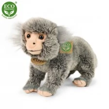 Plush Dwarf Marmoset 25 cm.