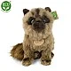 Plush Siamese cat sitting 28 cm.
