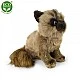 Plush Siamese cat sitting 28 cm.