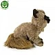 Plush Siamese cat sitting 28 cm.