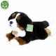 Plush dog Bernese Mountain Dog lying down 30 cm.