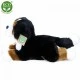Plush dog Bernese Mountain Dog lying down 30 cm.