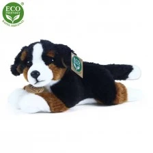 Plush dog Bernese Mountain Dog lying down 23 cm.