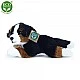 Plush dog Bernese Mountain Dog lying down 23 cm.