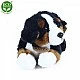 Plush dog Bernese Mountain Dog lying down 23 cm.