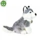 Plush Husky 30 cm. sitting