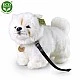 Plush Chow Chow dog with a leash 30 cm.