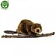 Plush Beaver 28 cm.