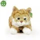 Plush Red tabby cat lying down 40 cm.