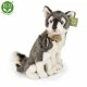 Plush Wolf 27 cm with baby 15 cm.