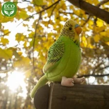 Plush Wavy parrot, green, 11 cm., with sound, Eco friends series