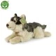 Plush Lying Wolf 35 cm.