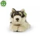 Plush Lying Wolf 35 cm.