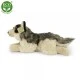 Plush Lying Wolf 35 cm.