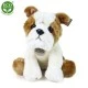 Plush Sitting Bulldog Dog 26 cm.