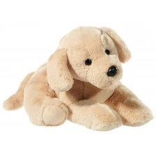 Large Golden Retriever puppy 38 cm. /on each paw there are seeds for weight/