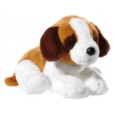 A large Saint Bernard puppy /38 cm/ has weight seeds on each paw