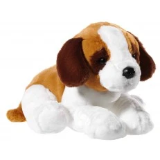 A large Saint Bernard puppy /38 cm/ has weight seeds on each paw