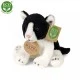 Plush kitten black and white sitting 14 cm.