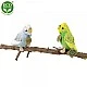 Plush Wavy parrot green 12 cm.