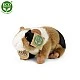 Plush Guinea pig 17 cm.