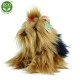 Plush dog Yorkshire terrier sitting 23 cm.