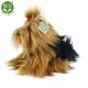Plush dog Yorkshire terrier sitting 23 cm.